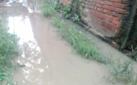 Unnao मोमिनपुर गांव में नालियाँ चोक रास्ते में भरा गंदा पानी, समस्या