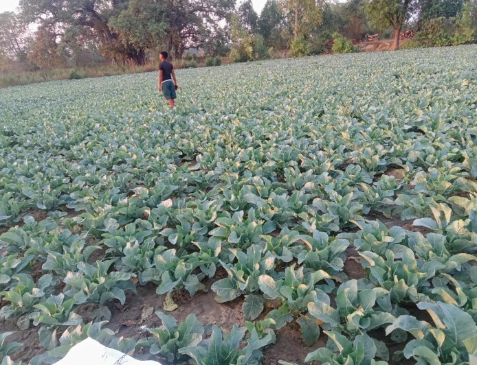 Rajput Farms: प्राकृतिक समृद्धि की आधारशिला