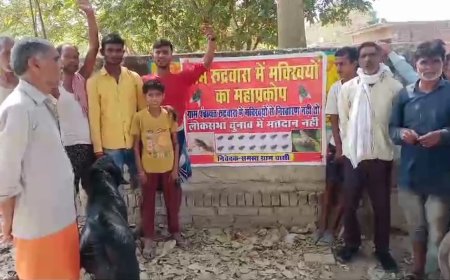 Unnao news मक्खियों ने ऐसा क्या किया कि ग्रामीणों ने मतदान से बहिष्कार का ऐलान कर दिया