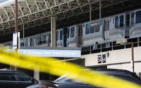 Tragic Chicago Transit Shooting Leaves Four Dead | Latest Updates & Investigation