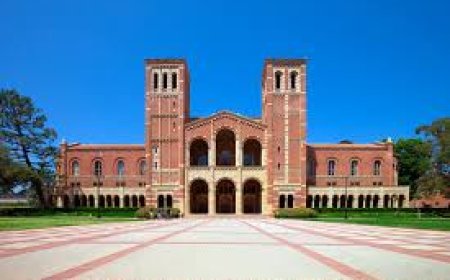 The Role and Benefits of Ombuds Offices in Colleges