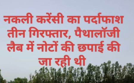 Amroha crime खून की जांच की जगह छ्प रहे थे नकली नोट
