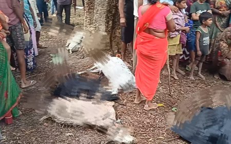 Unnao Akashi bijli  मानसून के पहले दिन आकाशीय बिजली ने सात की जान ली एक महिला सामिल