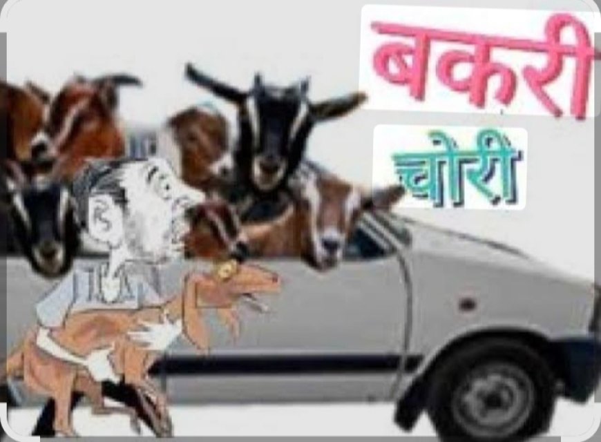 फिर शुरू हुआ बकरी चोरों का आतंक दरवाजे से उठा ले गए चार बकरियां