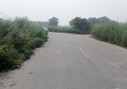 सड़क के दोनों ओर खड़ी बड़ी-बड़ी झाड़ियां बन सकती हैं दुर्घटना का कारण