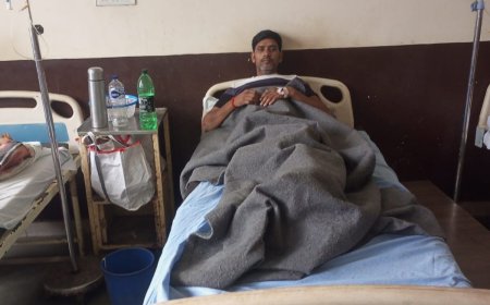 Unnao bee मधुमक्खियों के हमले से शिक्षामित्र सहित 13 घायल