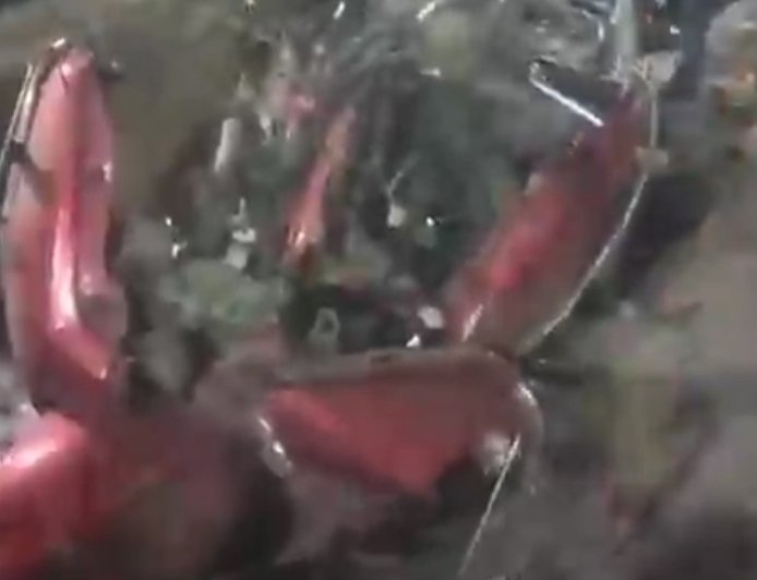 Kanpur blast धमाके से कानपुर दहला, विस्फोट से आठ घायल