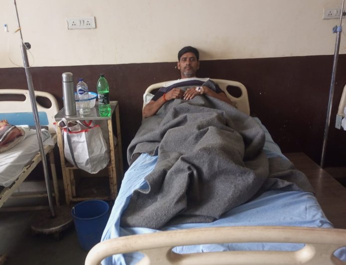 Unnao bee मधुमक्खियों के हमले से शिक्षामित्र सहित 13 घायल