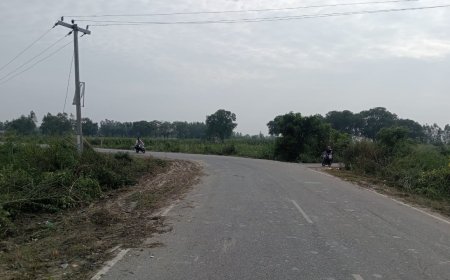 Unnao pwd सड़क की पटरी का सफाई काम शुरु लोगों को मिला खुला रास्ता